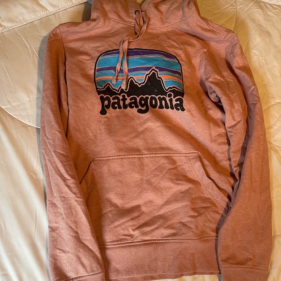 LIKE NEW Patagonia Sweatshirt - Picture 5 of 5
